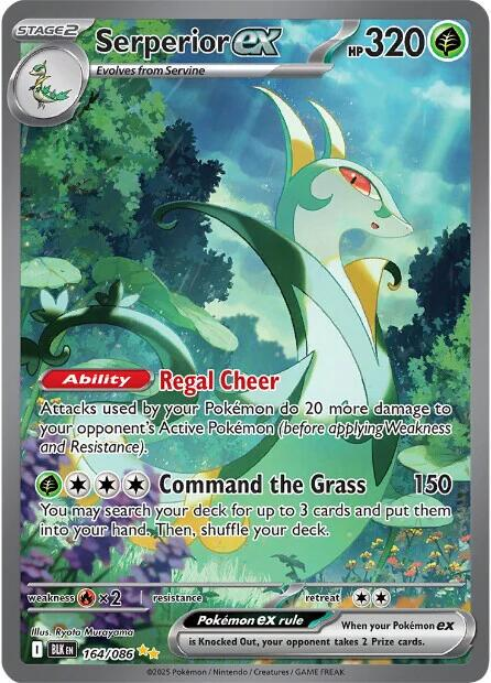 Serperior EX Special Illustration - Black Bolt