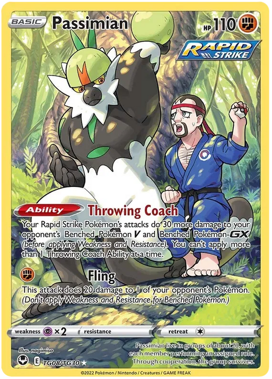 Passimian Trainer Gallery - Silver Tempest