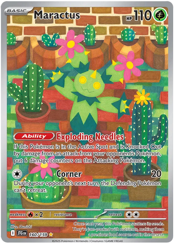 Maractus Illustration - Journey Together