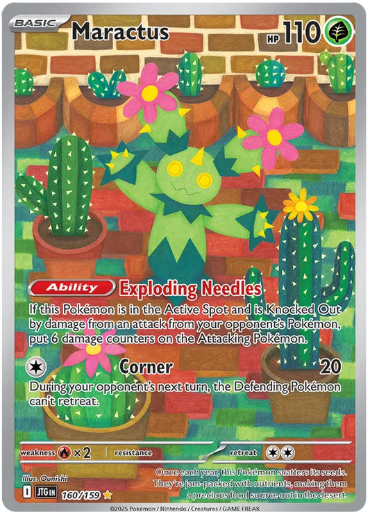 Maractus Illustration - Journey Together