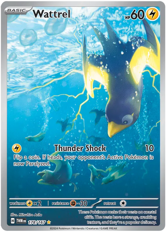 Wattrel Illustration - Twilight Masquerade