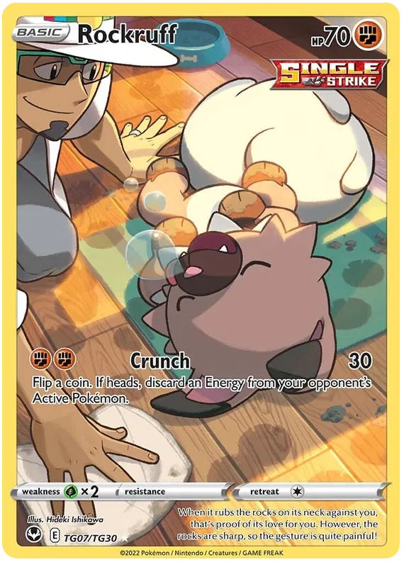 Rockruff Trainer Gallery - Silver Tempest