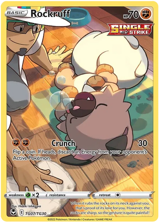 Rockruff Trainer Gallery - Silver Tempest