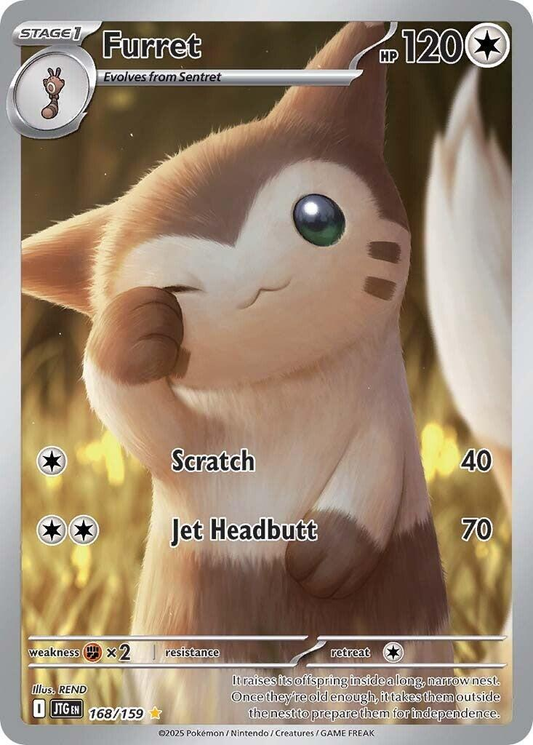 Furret Illustration - Journey Together