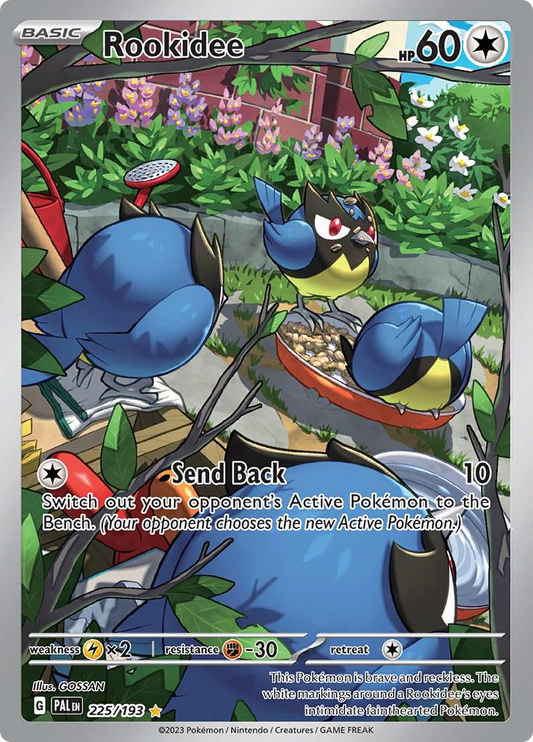 Rookidee Illustration - Paldea Evolved