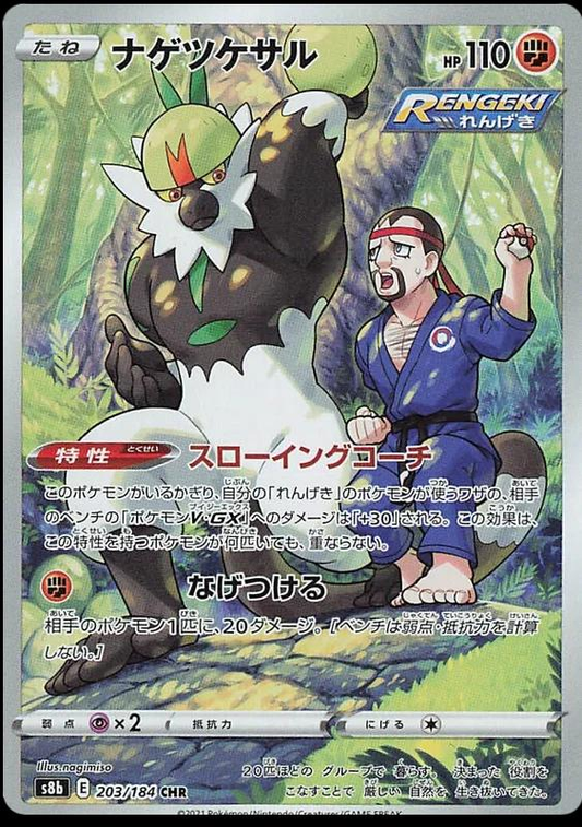Passimian Art Rare - VMAX Climax